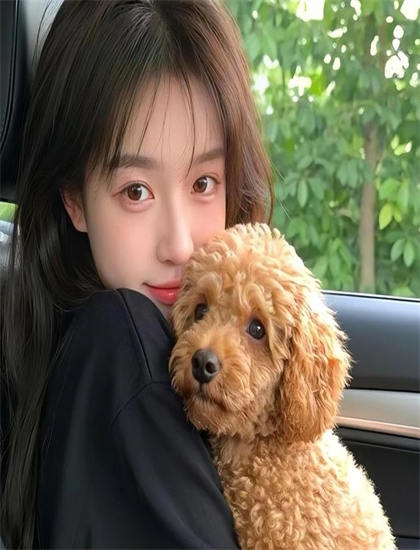 探索《桥译制片》的奥秘：隐藏细节与深层意义