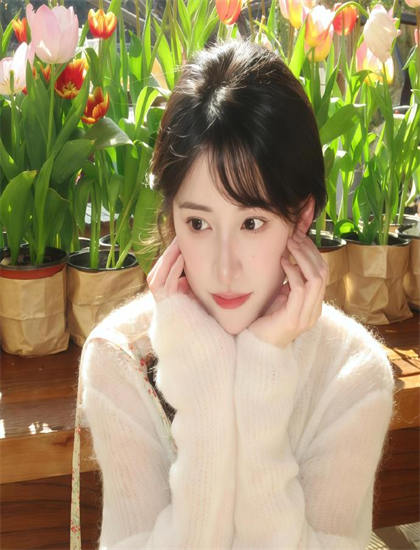 《超能虎王》情感线解析感人至深的：爱情、友情、亲情探讨